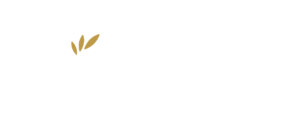 金伯顿logo