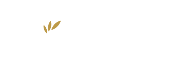 金伯顿logo